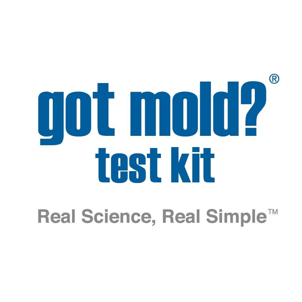 Secure 10% OFF mold test for air clarity, home health insight, calmer decisions, and cost-efficient certainty.