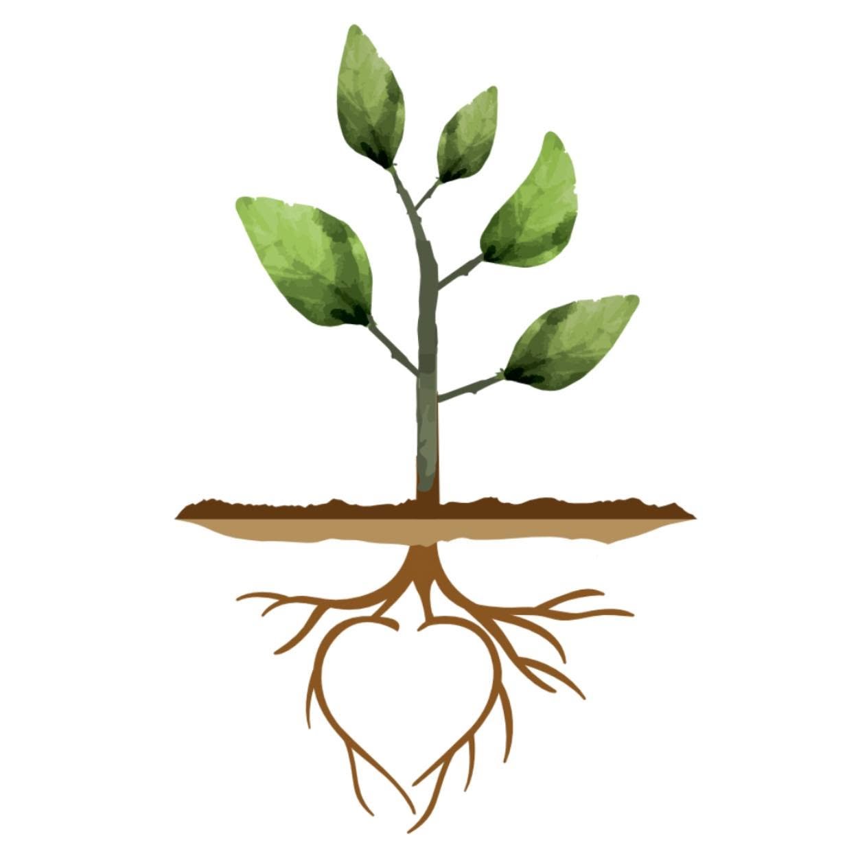 35% off Seed Needs Coupon code
