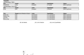 EQNO Scientific Tirzepatide Certificate of Analysis showing high purity levels