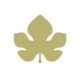 Biofficina Toscana