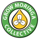 Grow Moringa