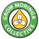 Grow Moringa