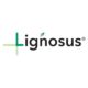 Lignosus UAE