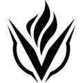 Vigor Labs